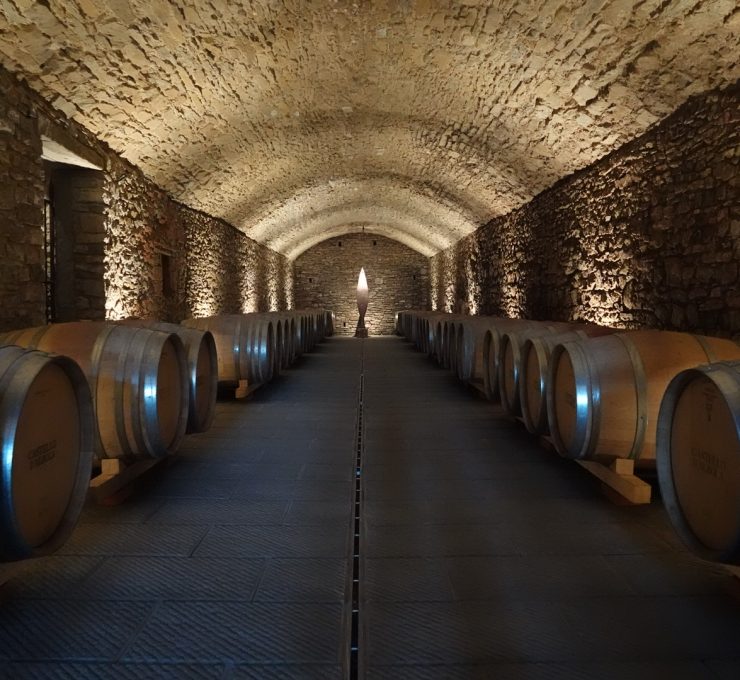 Chianti Classico wine tour and castles