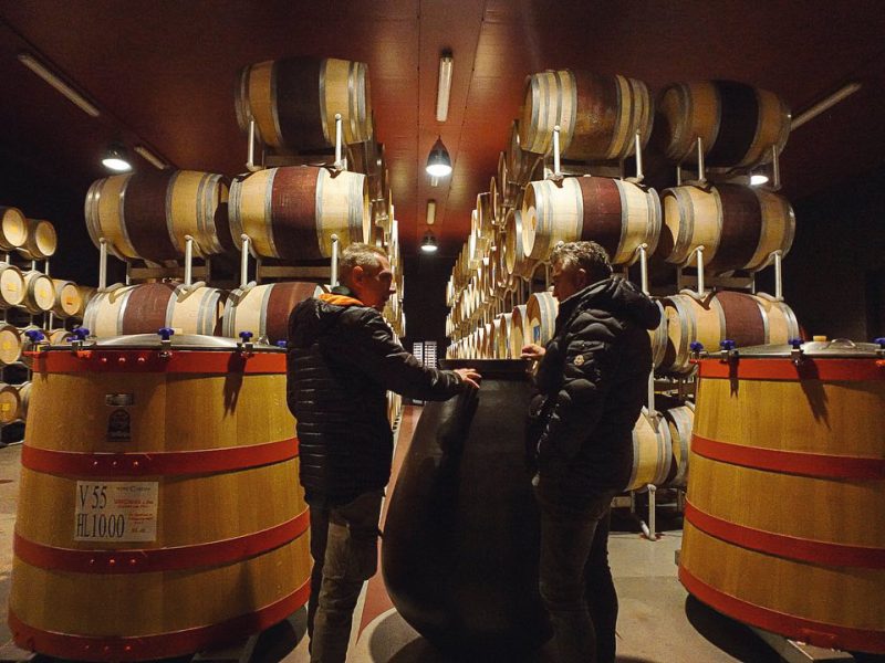 Brunello di Montalcino Tour